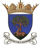 Royal Burgh of Falkland and Newton of Falkland Community Council Logo